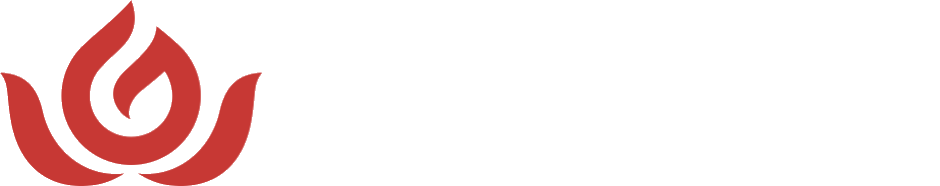 Gayatri Aero
